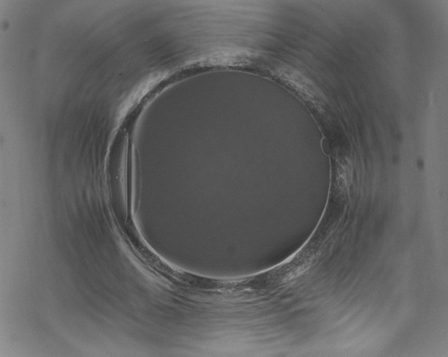 X0000070190678200606021058