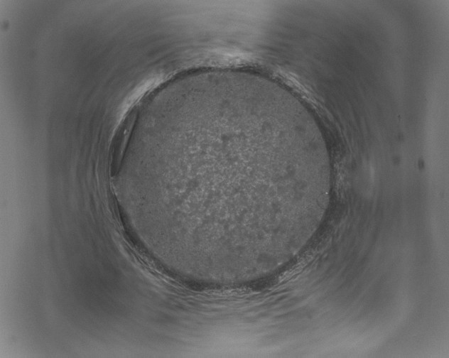 X0000070190679200606021058