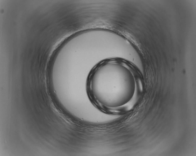 X0000070190680200606021058