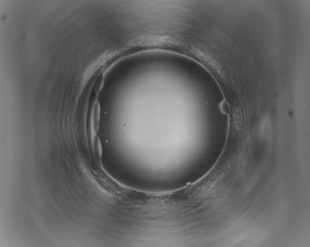 X0000070190682200606021058