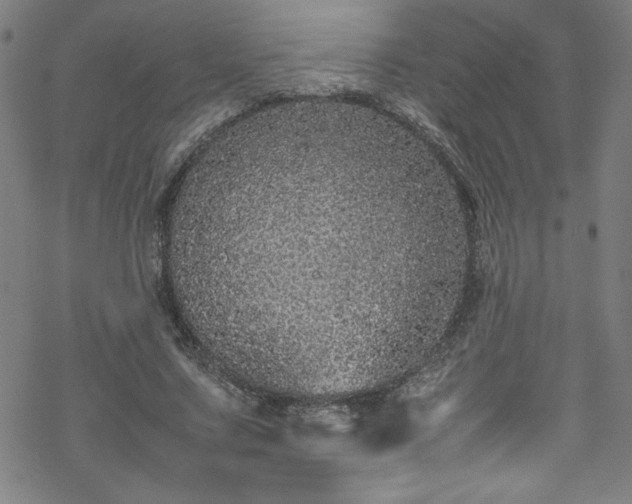 X0000070190683200606021058