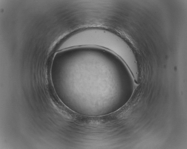 X0000070190684200606021058