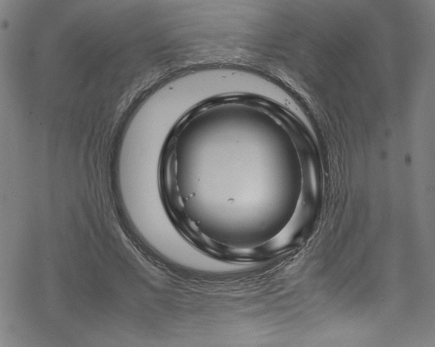 X0000070190685200606021058