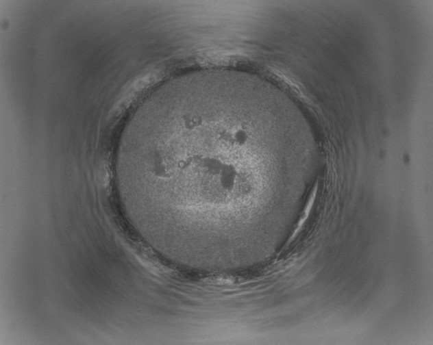 X0000070190687200606021058