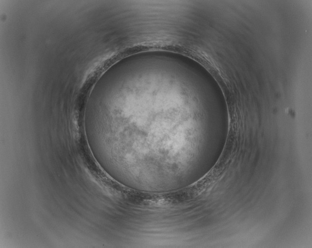 X0000070190688200606021058