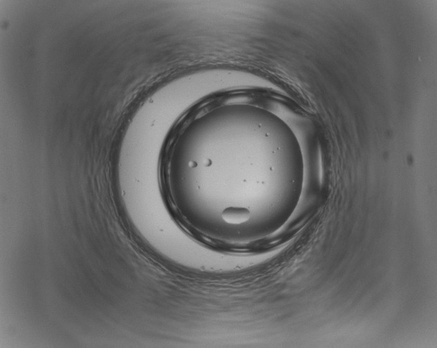 X0000070190689200606021058