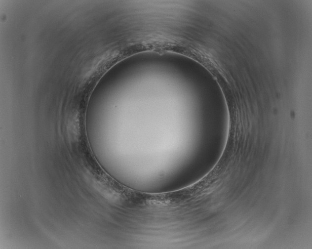 X0000070190690200606021058