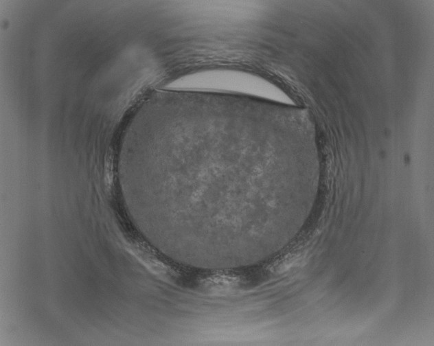 X0000070190691200606021058