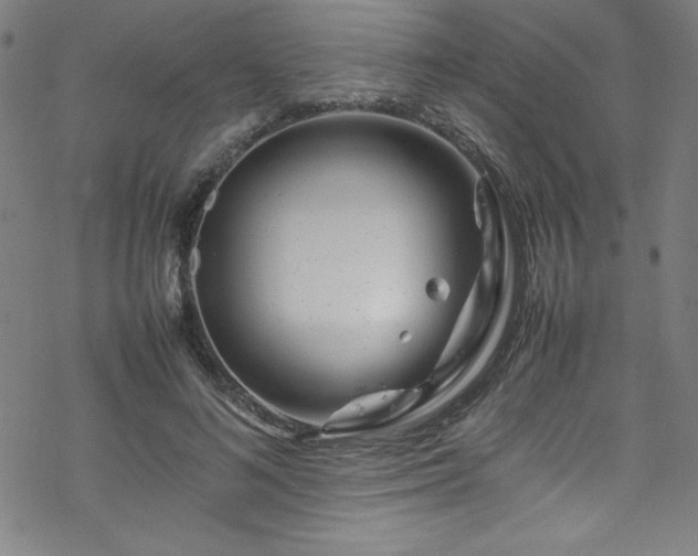 X0000070190692200606021057