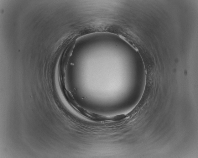 X0000070190693200606021057