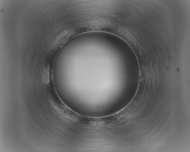 X0000070190694200606021057