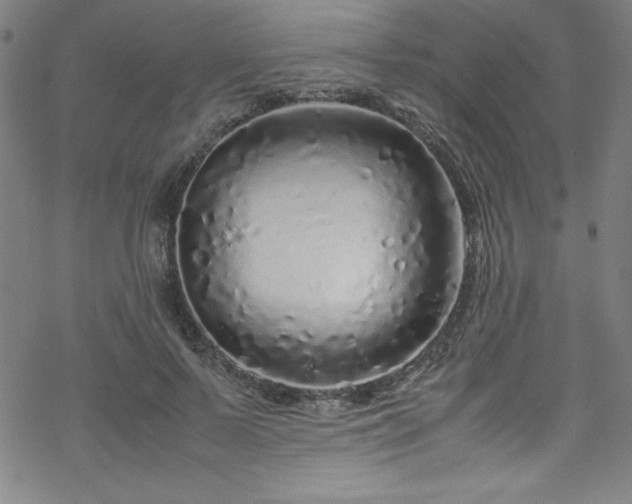 X0000070190695200606021057