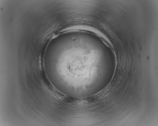 X0000070190696200606021057