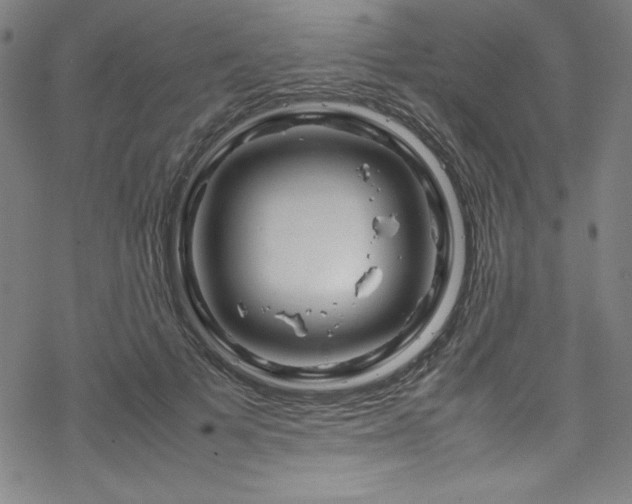 X0000070190697200606021057