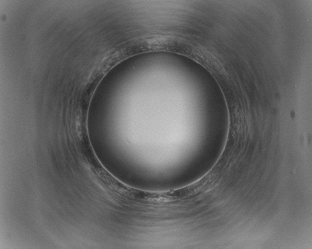 X0000070190698200606021057