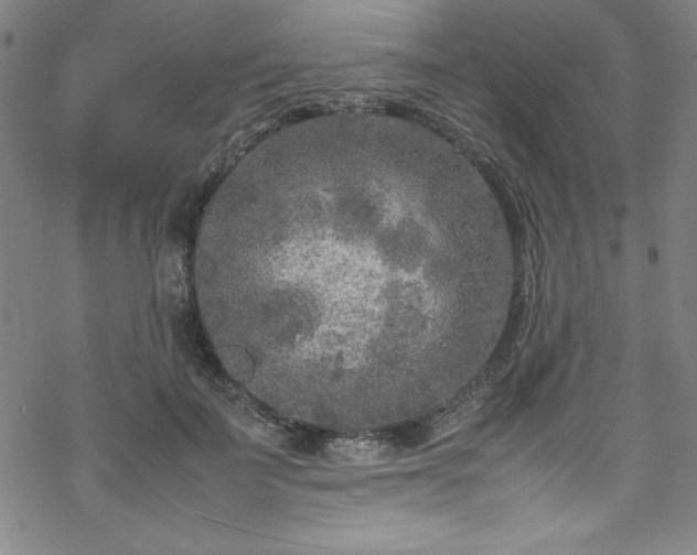 X0000070190699200606021057