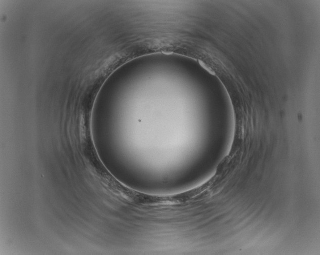 X0000070190700200606021057