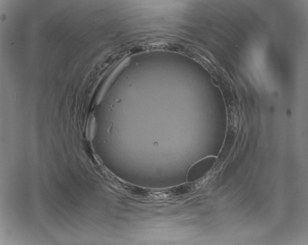 X0000070190701200606021057