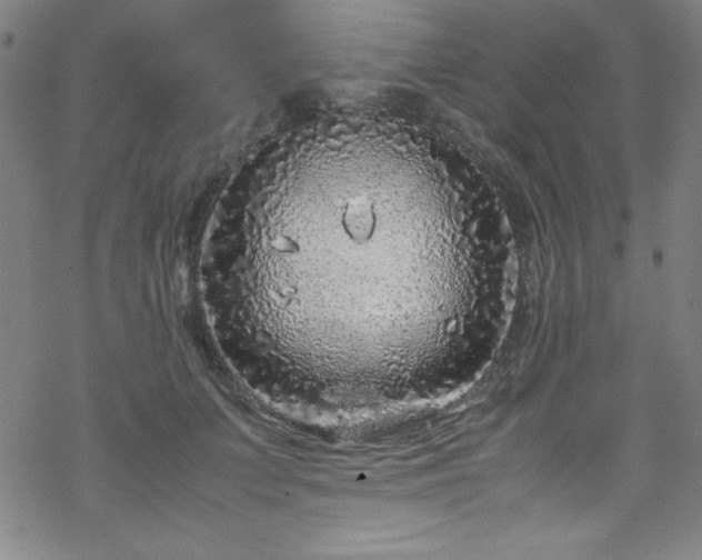 X0000070190703200606021057