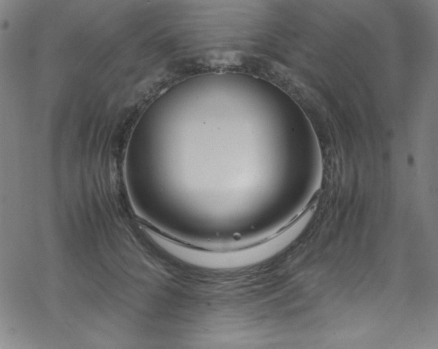 X0000070190704200606021057