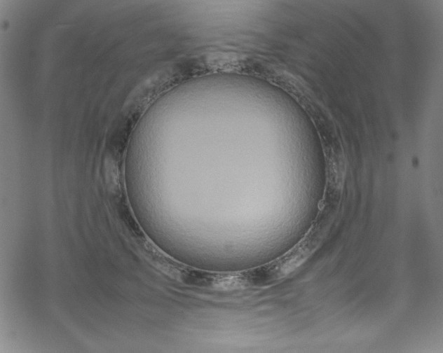 X0000070190705200606021057