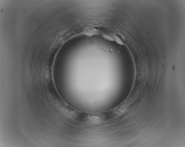 X0000070190706200606021057