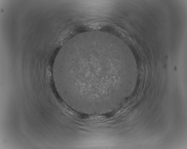 X0000070190707200606021057