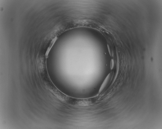 X0000070190708200606021057