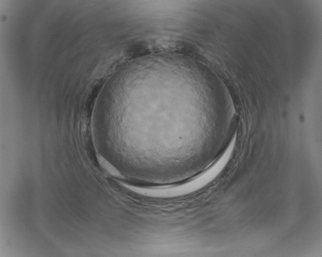 X0000070190709200606021057