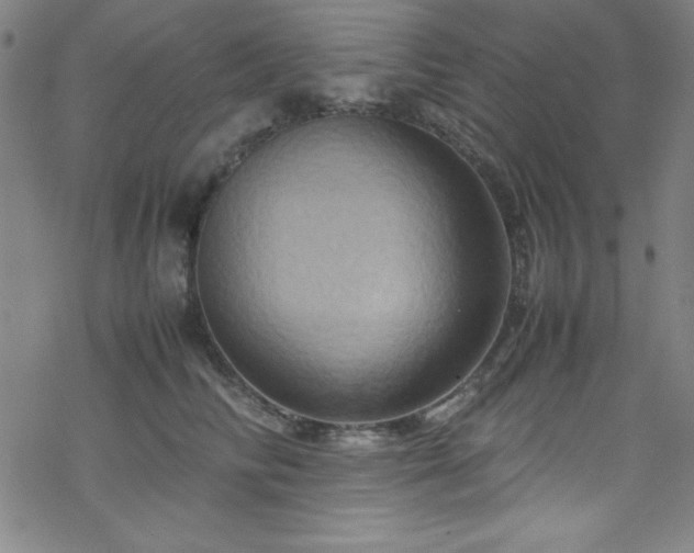 X0000070190710200606021057