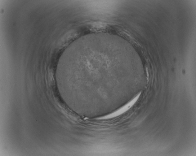 X0000070190711200606021057