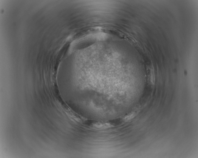 X0000070190712200606021057