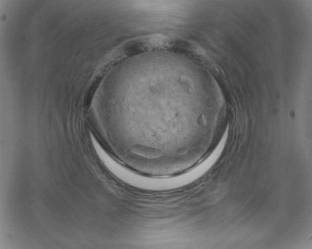 X0000070190715200606021057