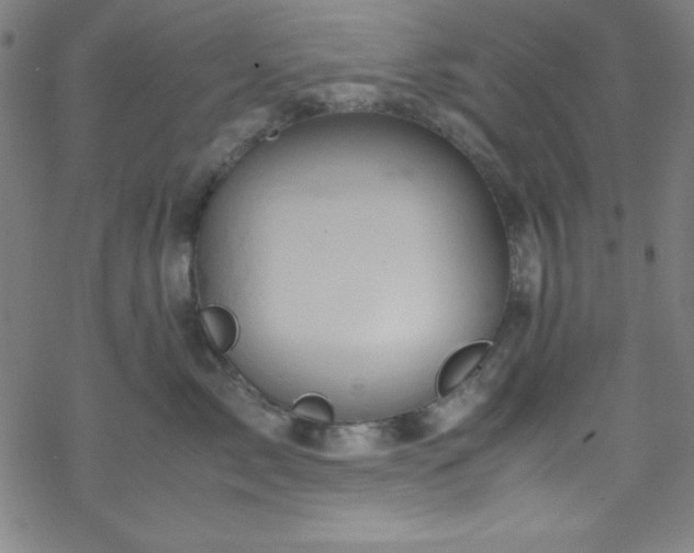 X0000070190717200606021057