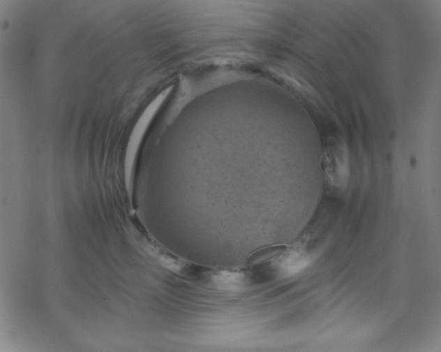 X0000070190718200606021057