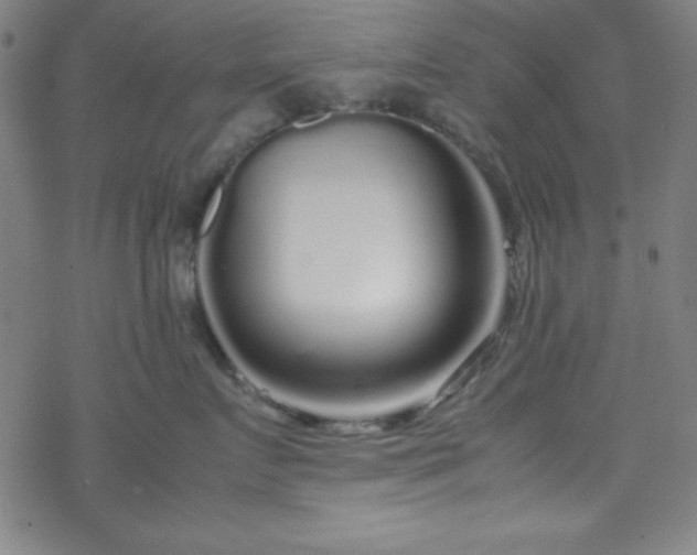 X0000070190719200606021057