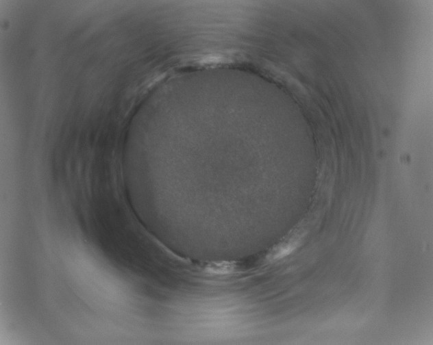 X0000070190720200606021057