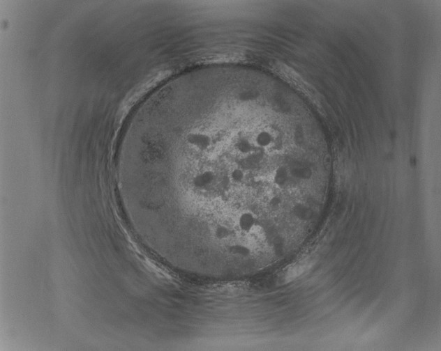 X0000070190721200606021056