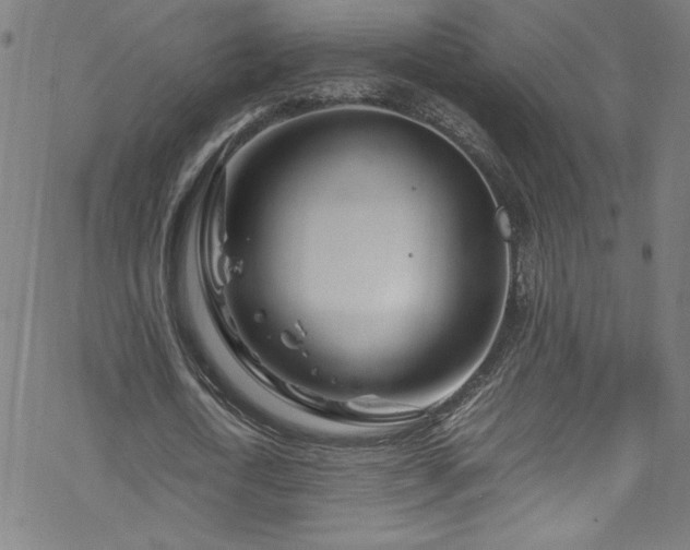 X0000070190722200606021056