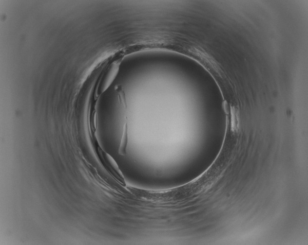 X0000070190723200606021056