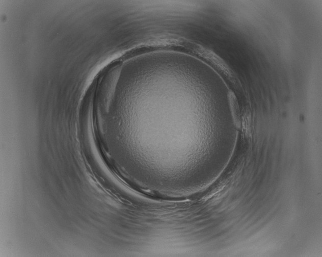 X0000070190724200606021056