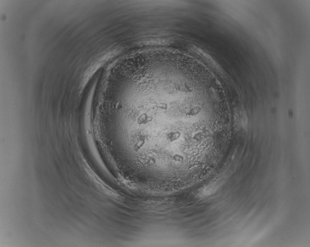 X0000070190725200606021056