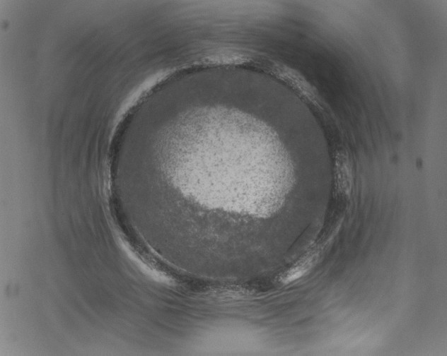 X0000070190726200606021056