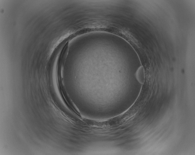 X0000070190727200606021056