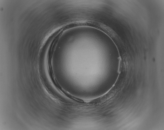 X0000070190728200606021056