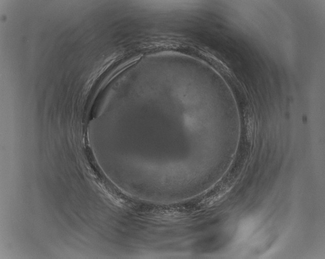 X0000070190729200606021056