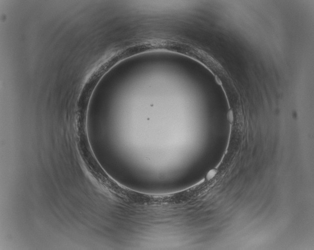 X0000070190730200606021056