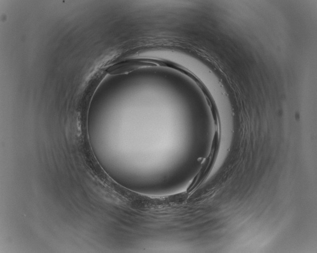 X0000070190731200606021056