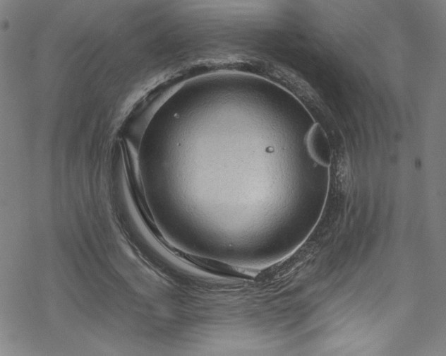 X0000070190732200606021056