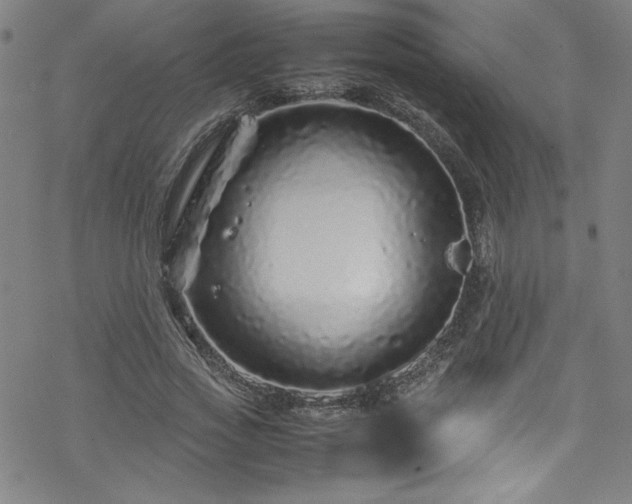 X0000070190733200606021056